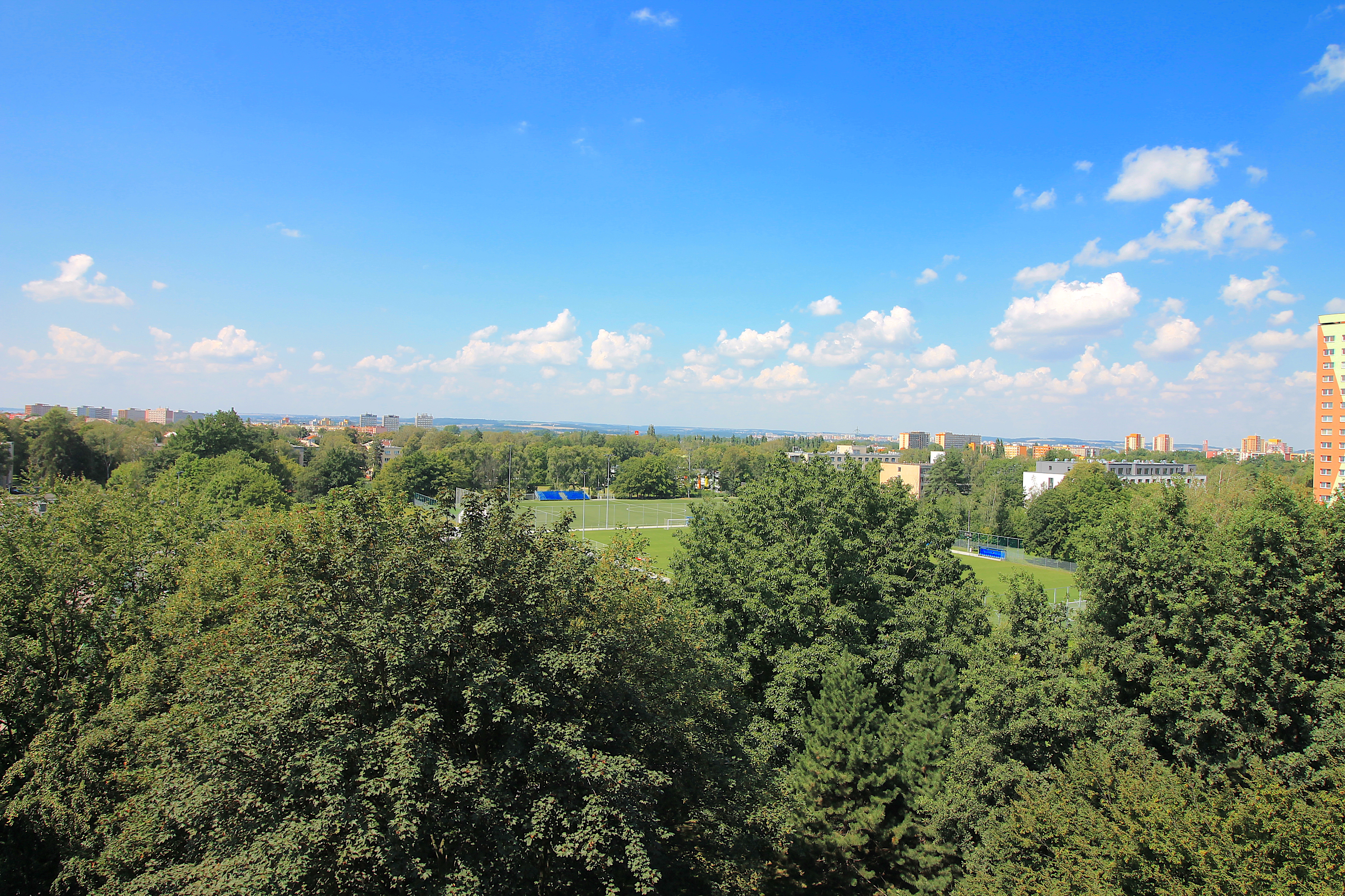 IMG_7655.JPG